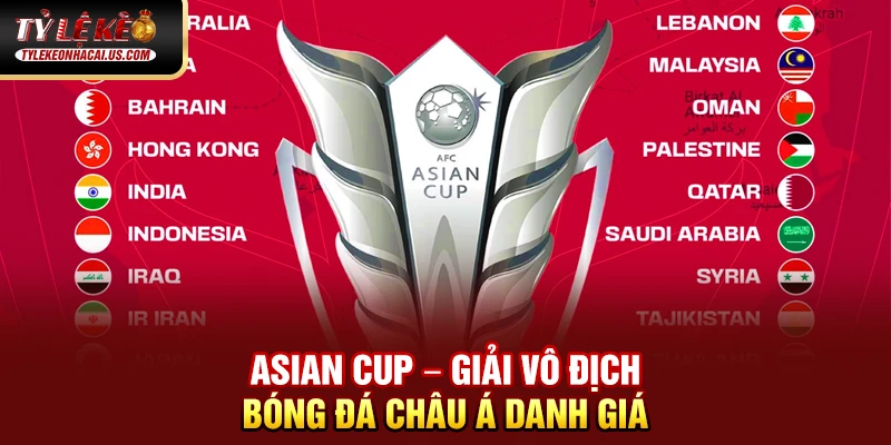 Asian Cup - Giải Đấu Vô Địch Bóng Đá Châu Á Đỉnh Cao 33 Asian Cup – Giải vô địch bóng đá châu Á danh giá
